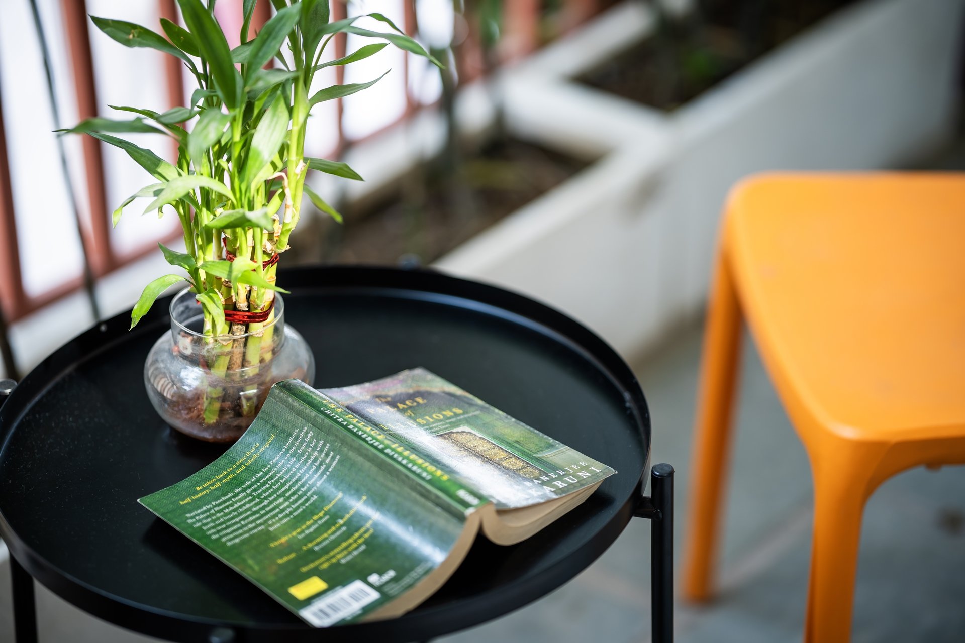 LiveAway Rishikesh (Laxman Jhula) by PACK - Image 20