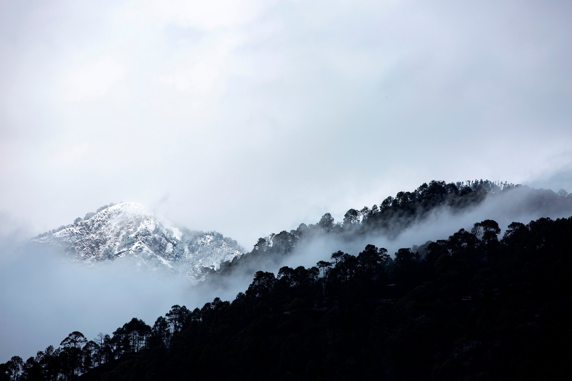 PACK Mukteshwar - Image 32