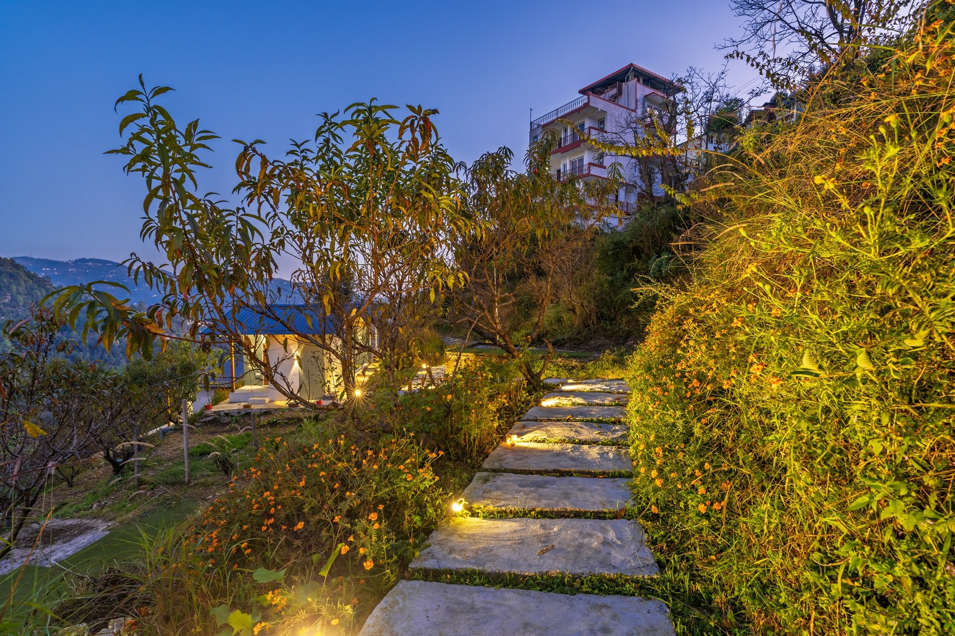 LiveAway Mukteshwar by PACK - Image 7