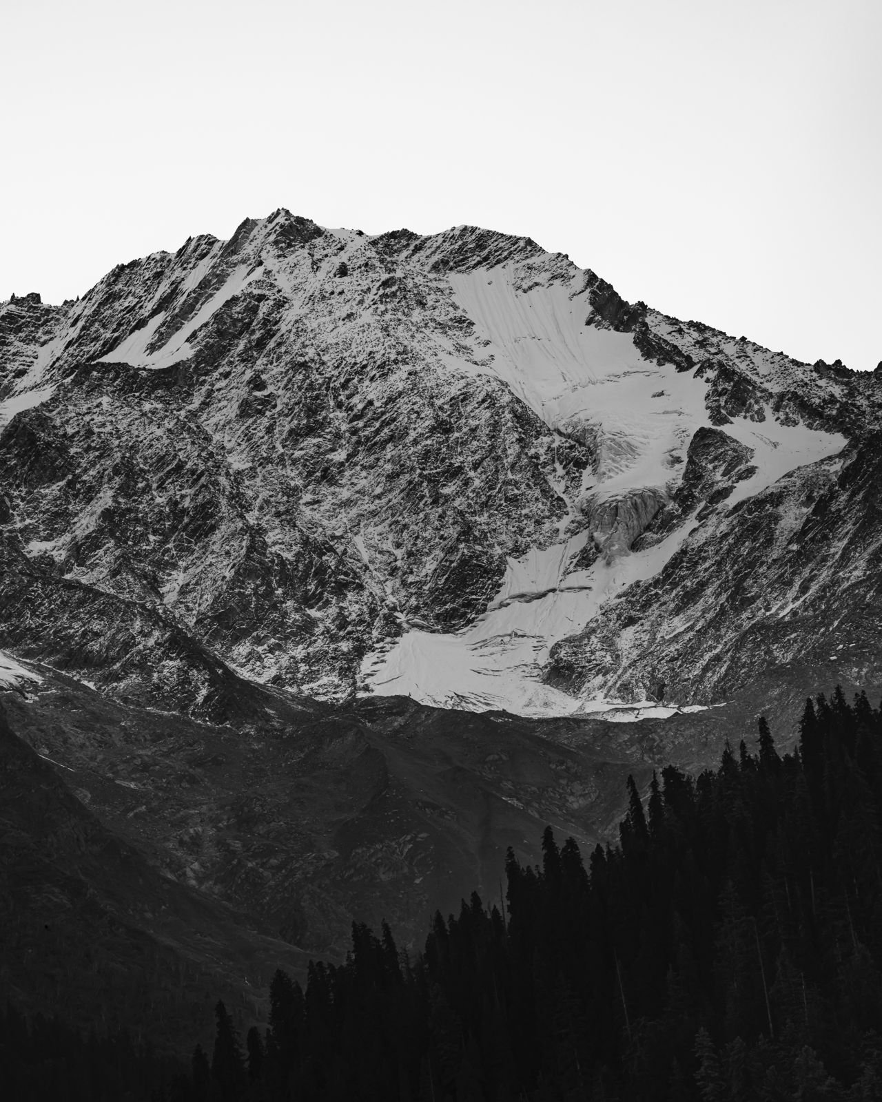 Offbeat Pulga (Kasol) by PACK - Image 14