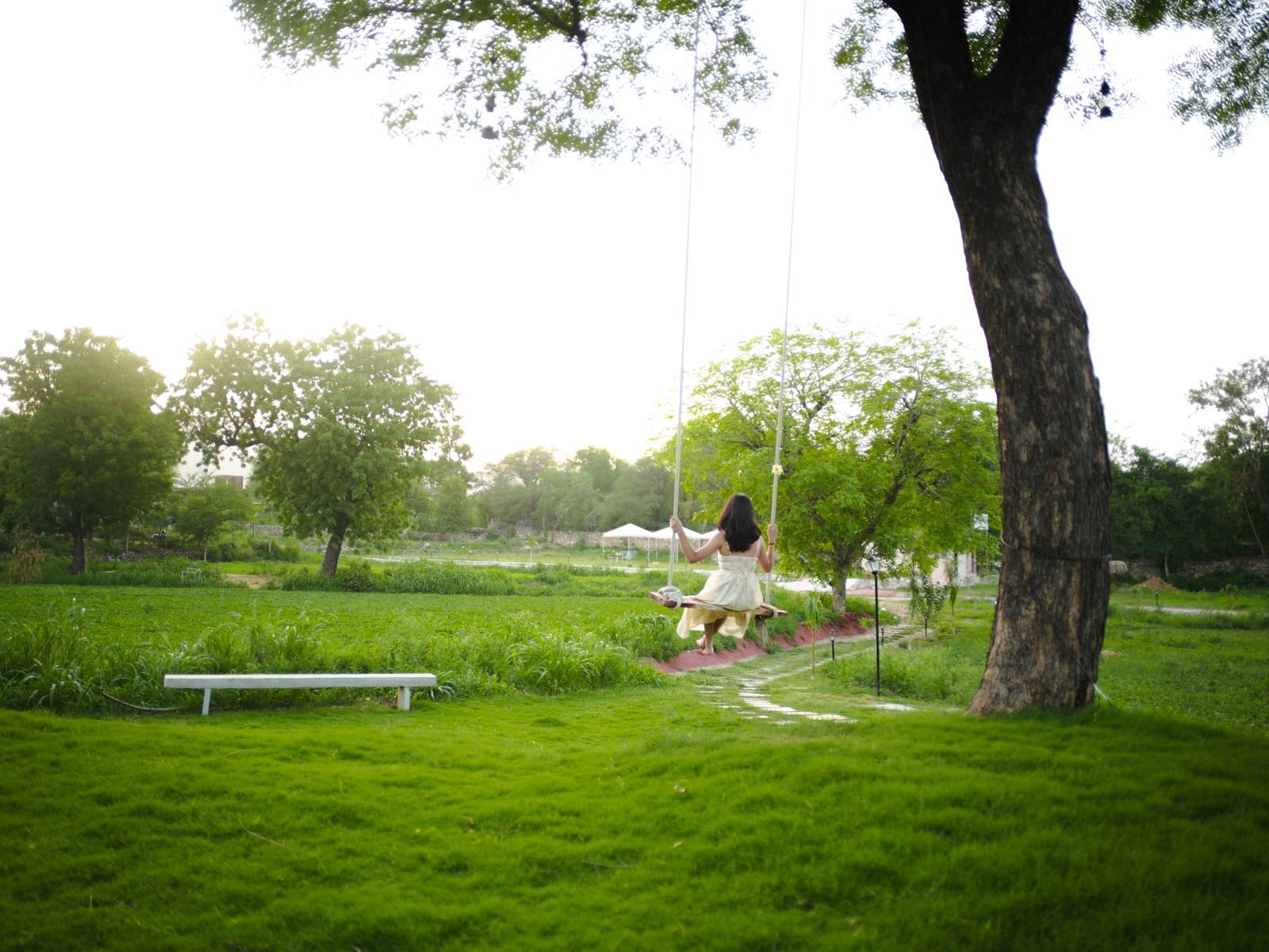 Indulge Udaipur by PACK - Image 4