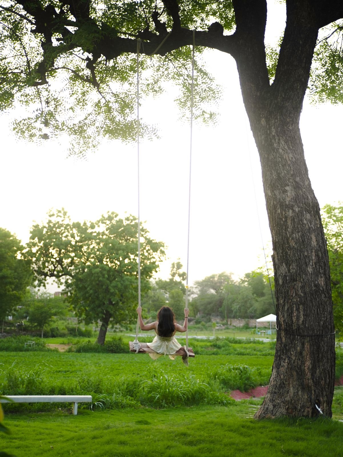 Indulge Udaipur by PACK - Image 12