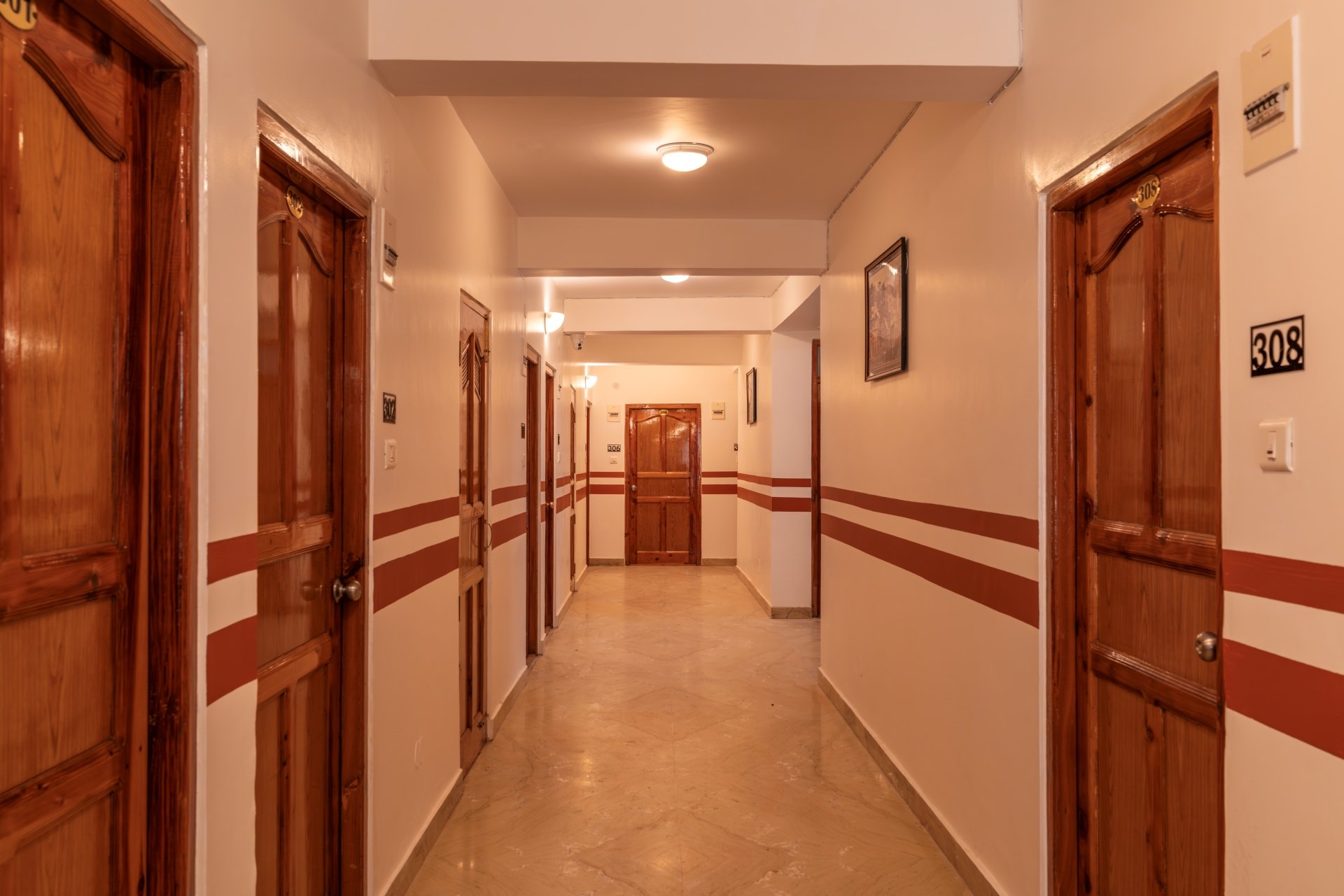 PACK Shimla - Image 8