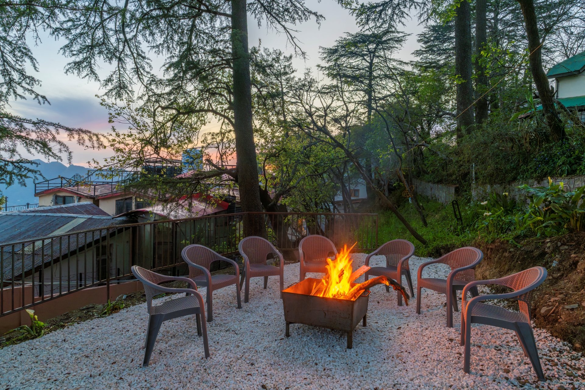 PACK Shimla - Image 6